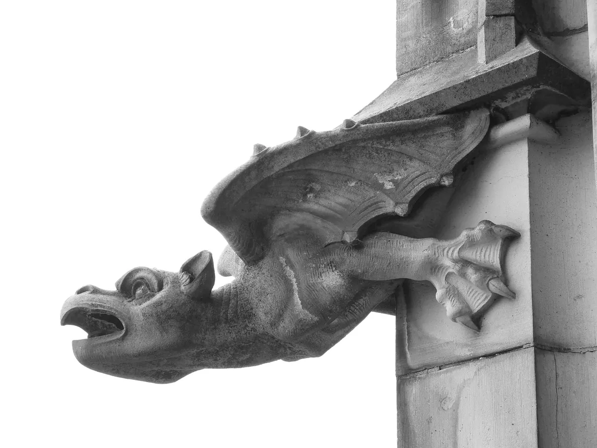 British Dragons and Worms: A Beginner's Guide to Regional Serpents